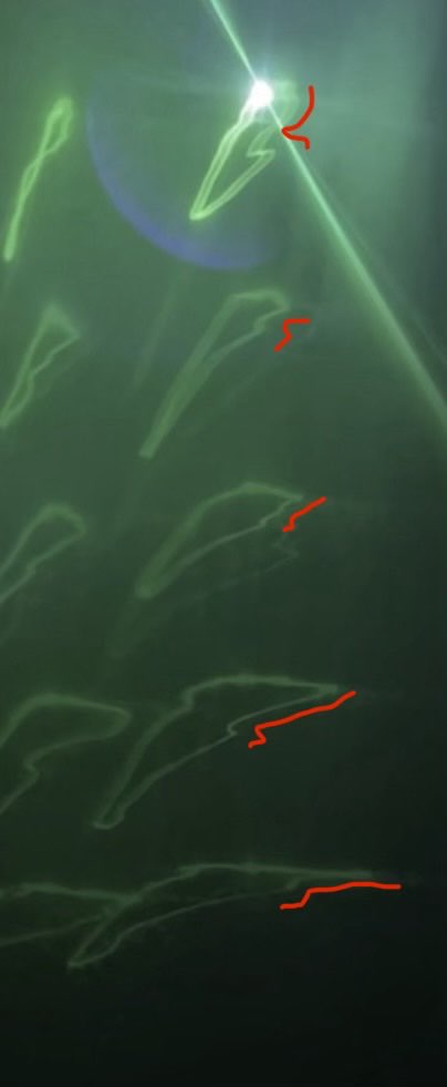 A detail down one column of blobs, annotated the same way